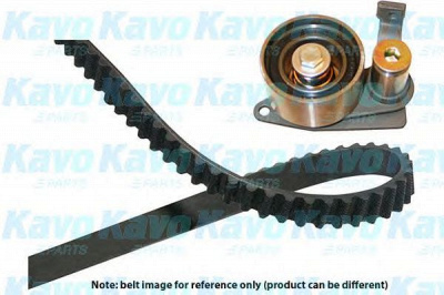 KAVO PARTS dkt9029 - Комплект ремня ГРМ